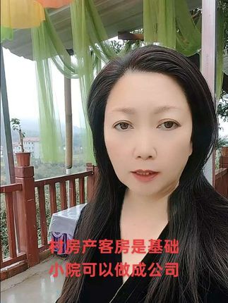 村房产客房是基础,小院就是一家公司#原创视频 #燕姐农村地产整村开发#燕姐村房产业创始人#村房网