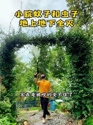 实在是被咬得受不住了,高温闷热的天气再加上连续下了几场雨,我的院子冒出了好多的蚊子和虫子。秋天的蚊子特别猖獗,随便走走就会咬的人浑身是包#蚊虫叮咬 #驱蚊神器 #高效氯氟氰菊酯 #蚊子克星