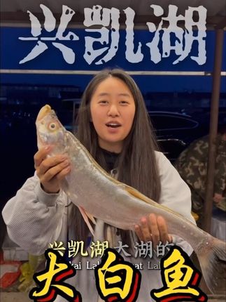 兴凯湖大白鱼送人必备#兴凯湖 #大白鱼#野生鱼 #兴凯湖大白鱼