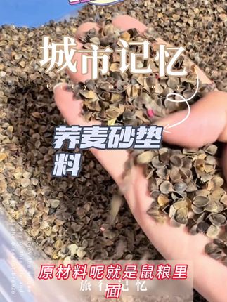 小仓鼠超喜欢在里面钻洞玩的荞麦砂垫料#萌宠动物 #萌宠 #仓鼠 #金丝熊 #鼠鼠我呀