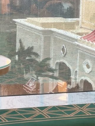 这台风刮的#台风桦加沙