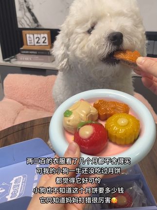 这个中秋节小狗也有月饼吃啦!#宠物月饼 #妈呀太香了 #毛孩子也是孩子