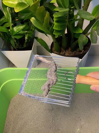 别再用大几十粘铲又粘底的矿砂了,现在新品活动,这个不粘底的矿砂一大袋到手才两位数!#小蓝矿 #猫砂#养猫新手 #猫砂测评 #萌宠好物