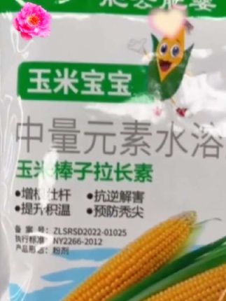 #创作灵感 玉米玉米宝宝叶面肥:喷完叶儿绿得发亮,嫩须直冒,金粒偷偷鼓,小身板蹿得快~#农业种植技术 #三农种植 #农技推广 #有机肥 @DOU+上热门 @马政义 @向往神鹰自由 @助推,2025.08.20.