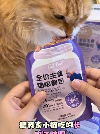 猫咪超爱吃的全价主食餐包长肉又胖腮#宠迪旺 #养猫新手 #吃货猫 #好吃到停不下来