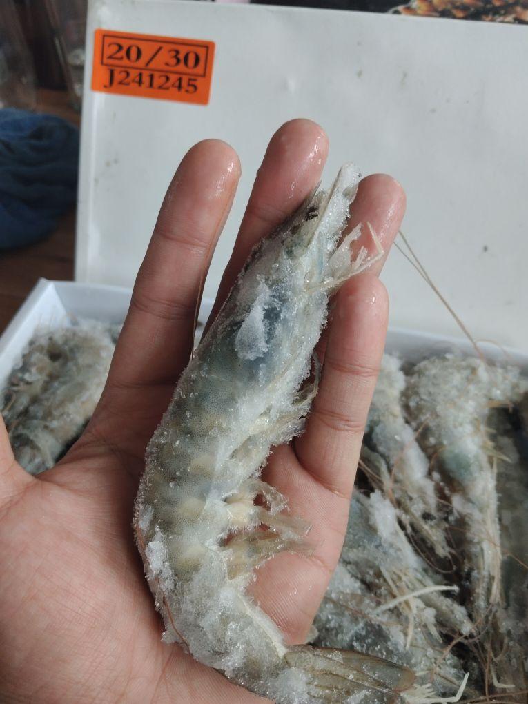 和描述的完全一样,个大肉鲜,今天下午收到货,晚上迫不及待的就做的吃了点,很不错,吃完继续回购,客服态度也非常好。祝店家生意兴隆,财源滚滚。#我在抖音买买买