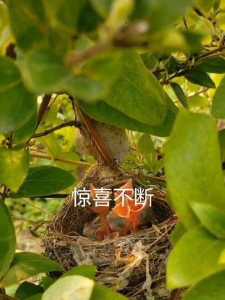 #原创视频 #热门 #我的农村生活