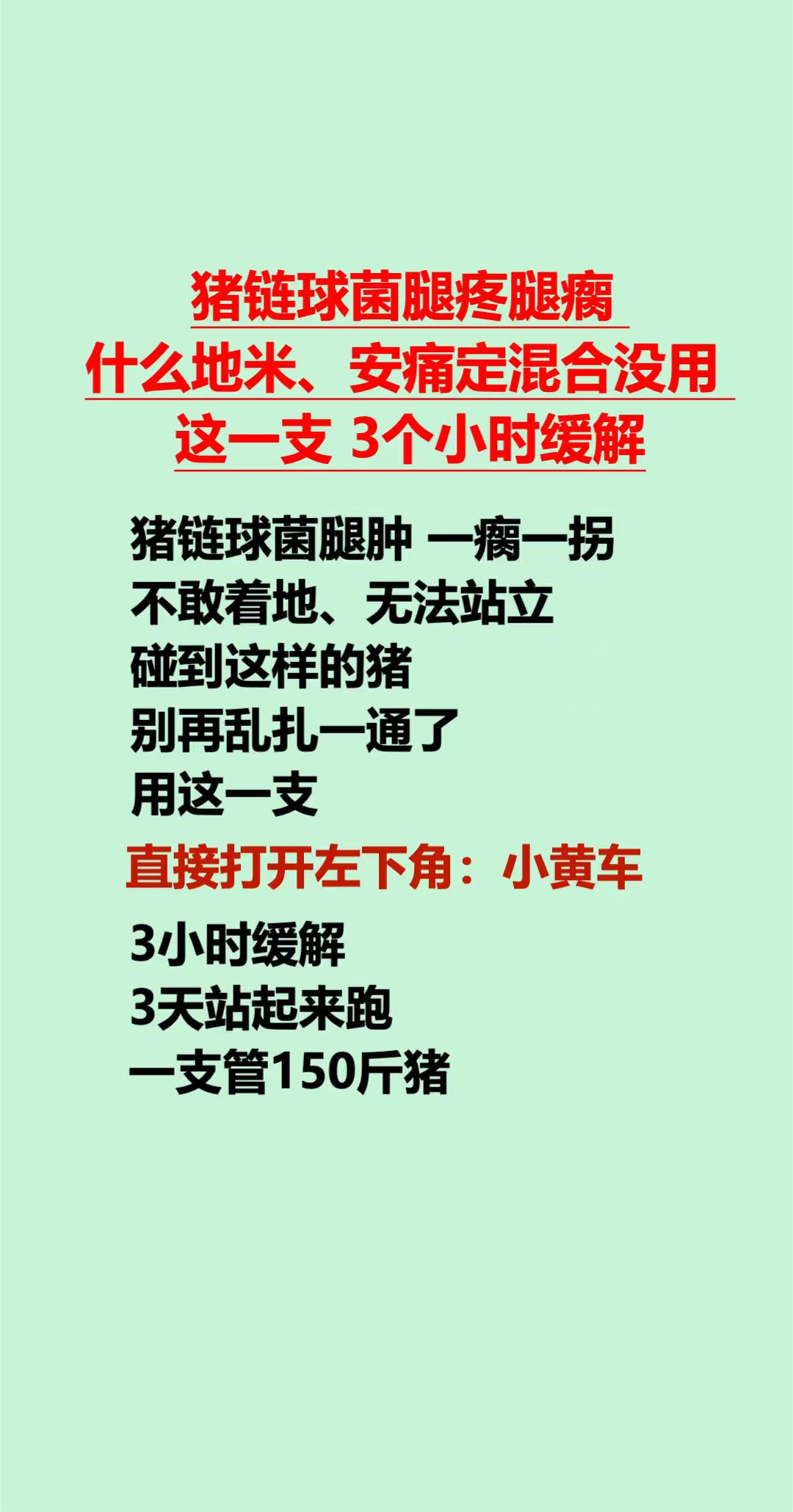 #养猪人 #养猪技术 #农村养猪 #自繁自养 #猪腿瘸