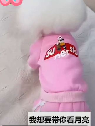 #秋冬宠物新款#加绒保暖#可爱萌娃#衣服图案设计#好看又可爱