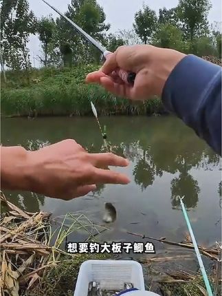 #钓鱼的乐趣只有钓鱼人懂