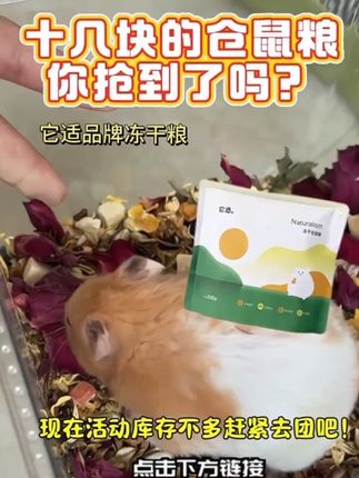 #生活服务热点中心 #启发搜索激励计划 #养鼠日常分享 #仓鼠粮食推荐 #它适仓鼠粮