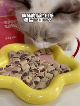 #小毛豆彩虹桶 #兔血乳铁蛋白冻干