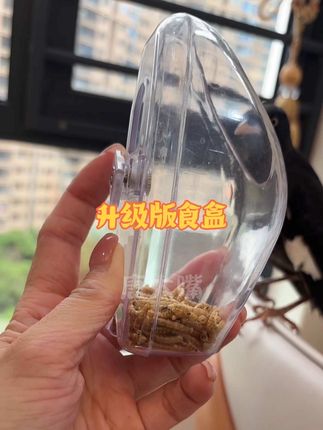 #鸟用品 升级版防撒食盒