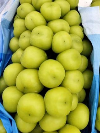 正宗阳光玫瑰葡萄当季新鲜水果爆汁无核无籽#精品阳光玫瑰葡萄 #葡萄 #阳光玫瑰