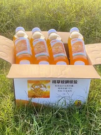 #精草铵膦铵盐 #果园除草 #荒地除草 #除草#茶园除草
