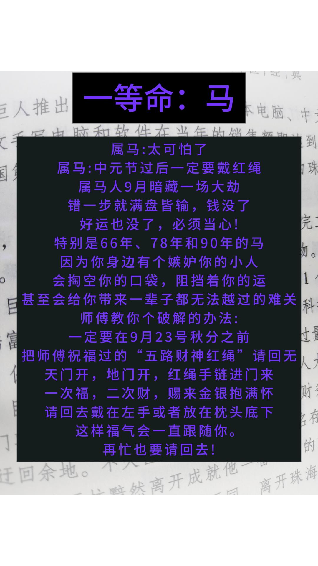 #生肖马 #属马 #马