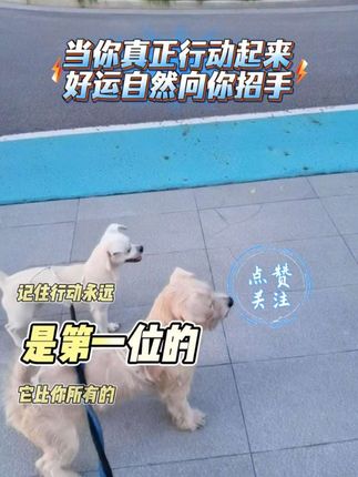 行动永远是第一位的,当你行动起来好运自然会来#上热门 #分享 #毛孩子的日常 #好东西一起分享 #好物推荐🔥