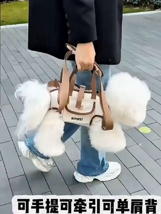 #狗包 #遛狗包 #宠物外出包 #狗狗外出包 #狗狗的日常