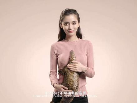没有买卖就没有伤害 和杨颖一起保护穿山甲!#穿山甲 #angelababy #保护动物 ##文字投稿激励计划 #青年创作者成长计划