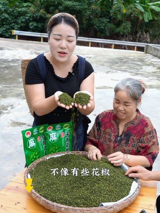 花椒是我们生活中的必须调味品,这个是重庆江津九叶青花椒,非常的麻,不管炒菜 烧菜,麻得不得了。#我的乡村生活 #农村生活日常 #花椒 #我为家乡代言 #青花椒