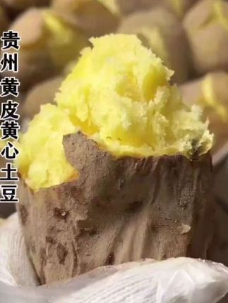 #贵州黄心土豆 #马铃薯 #烧洋芋 #烤土豆#炸土豆
