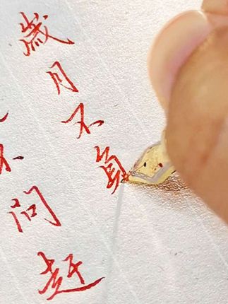星光不问赶路人,时光不负有心人。#硬笔 #练字 #一起练字 #手写 #钢笔