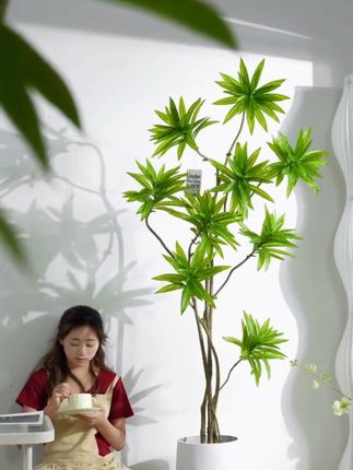 百合竹仿真绿植家居客厅落地室内仿生植物造景盆栽高端轻奢假树#假树 #百合竹 #仿真绿植 #盆栽 #仿生植物