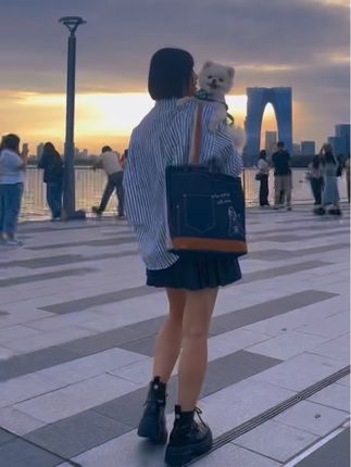 跟妮妮一起看日出日落🌄#治愈系 #养狗的乐趣 #博美