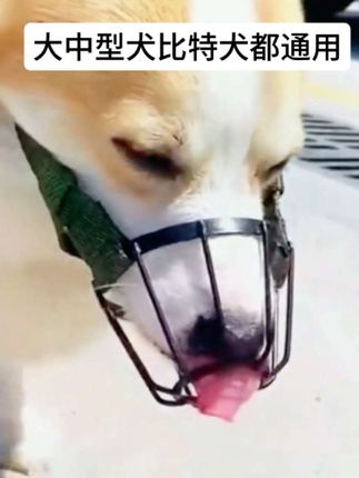 不锈钢狗嘴罩狗嘴笼防咬叫可饮水狗嘴套#萌犬 狗嘴罩#防狗咬神器 #狗嘴笼推广