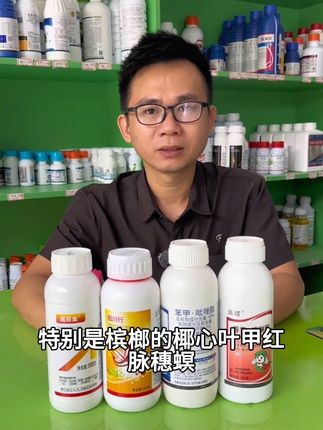 #槟榔种植 #农技推广 #种植小技巧 槟榔管理方案,一套配水1000斤