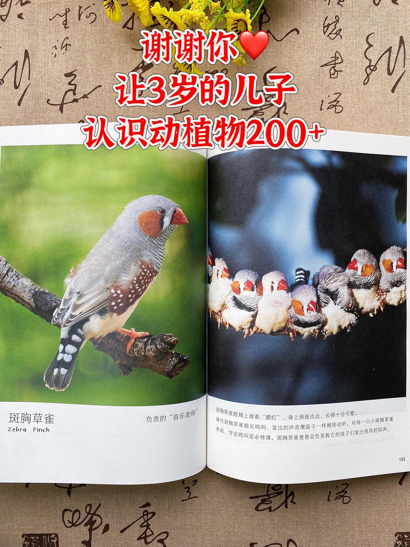 哇!一整本高清大图小自然纪录片🔥。3岁就能看的自然百科书📚。高清大图实拍,视觉冲击力堪比纪录片感叹,真实还原大自然的每一个瞬间!被科普喂大的孩子,眼界、思维、能力都大不一样!#科普 #大自然百科 #科普知识 #童书推荐 #亲子阅读