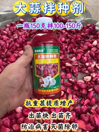 种大蒜,就用这款拌种剂! 还在为大蒜出苗慢、病害多、重茬减产发愁吗? 试试亮威统拿大蒜拌种剂,一瓶150克能拌 100 -150斤蒜种,微生物菌剂配方,给蒜种穿上“保 护衣”!它能抗重茬、提质增产,让大蒜出苗又快又齐,还能防治病害、灭菌除卵,抗千热风又抗寒, 苗齐苗壮有保障。种蒜季用它拌一拌,病害少了,产量高了,蒜农们省心又增收!#大蒜拌种剂#防治病虫害#大蒜种植#增产增收才是硬道理#抖音助农