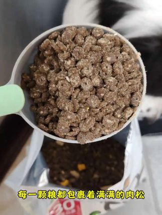 大狗小狗都能吃的鸭肉梨狗粮,清火去热,每一颗都裹满了肉松,挑食小狗也不会拒绝!#狗粮 #边牧 #萌宠出道计划