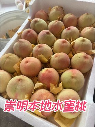 崇明本地水蜜桃,甜的像蜂蜜一样的水蜜桃🍑#新࿆鲜࿆采࿆摘 #口感特别好 #强烈推荐 #优质水果