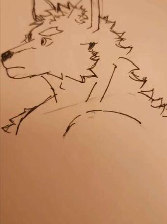 教你画侧面兽人#furry兽人 #兽人绘画 #绘画教程 #兽人
