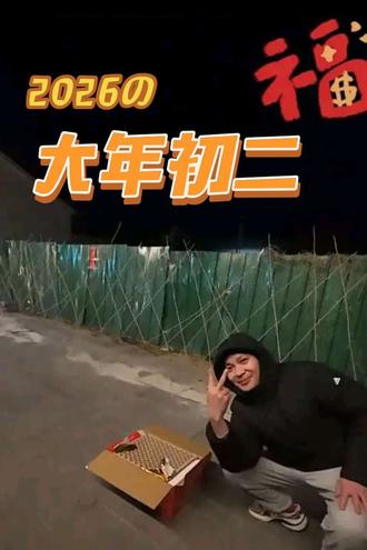 大年初二#烟花炮竹 2026#放烟花