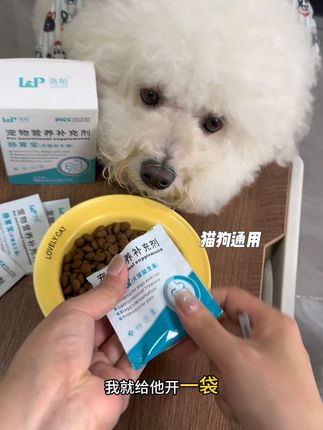 要么不用,要么急用!毛孩子容易呕吐、拉稀,益生菌记得提前备上#萌宠好物 #养狗经验分享 #宠物益生菌 #猫狗益生菌