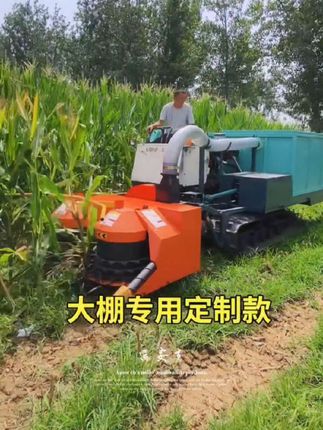 #青储机 #青储收割机 #圆盘青储机