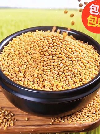 正宗贵州威宁苦荞饭荞麦米纯荞疙瘩芥麦米包邮草海原农软糯粗粮低