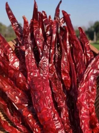 【微辣特香】精选四川二荆条干辣椒炒菜炝锅干海椒家用商用香料批发