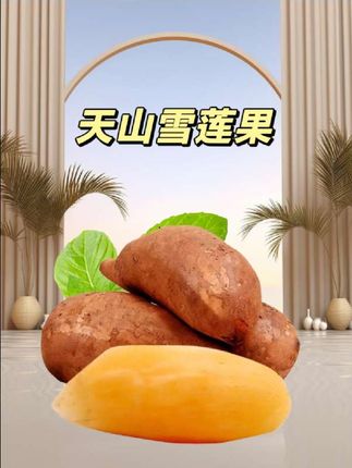 9.9发3斤天山雪梨果,脆甜多汁,现挖现发!#强烈推荐 #应季水果 #天山雪莲果 #雪莲果