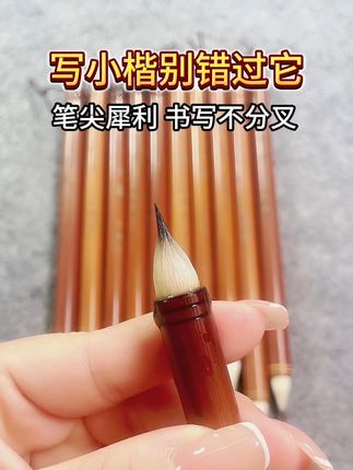 不分叉的缠纸鸡距笔 笔尖犀利,书写流畅,支持沾墨试用。#小楷 #缠纸鸡距笔 #毛笔 #书法