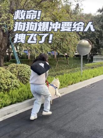 之前遛狗像打仗,现在遛狗像散步,就差这一步!#狗狗爆冲训练 #狗狗爆冲怎么办 #狗狗爆冲 #哈士奇爆冲