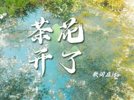 茶花开了 最近总刷到茶花开了,那么茶花开了来了!!!#茶花开了 #翻唱 #网友合唱 #合唱