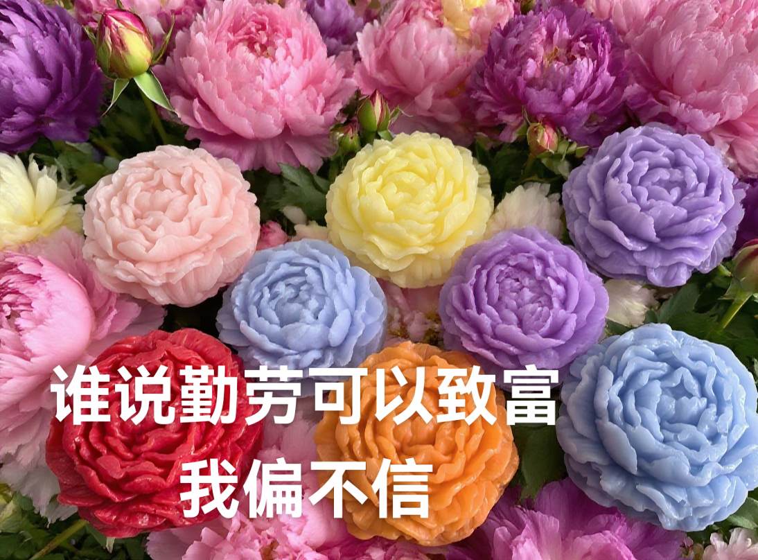 谁说勤劳可以致富,我偏不信