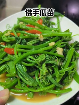 贵州露天素菜,脆脆嫩嫩的佛手瓜苗,也叫龙须菜。新鲜采摘发货,随便炒一炒都真的超下饭#露天蔬菜 #佛手瓜苗 #捧瓜尖 #家常菜#纯天然绿色食品