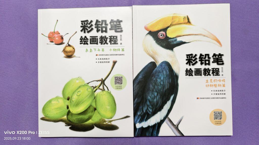 《彩铅笔绘画教程》两本,塑封新书,16开,144页和128页,纸张厚实光滑,彩印,图文并茂,从材料、工具、技法娓娓道来,适合初学者入手,适合熟手精修,正品好书!#我在抖音买买买