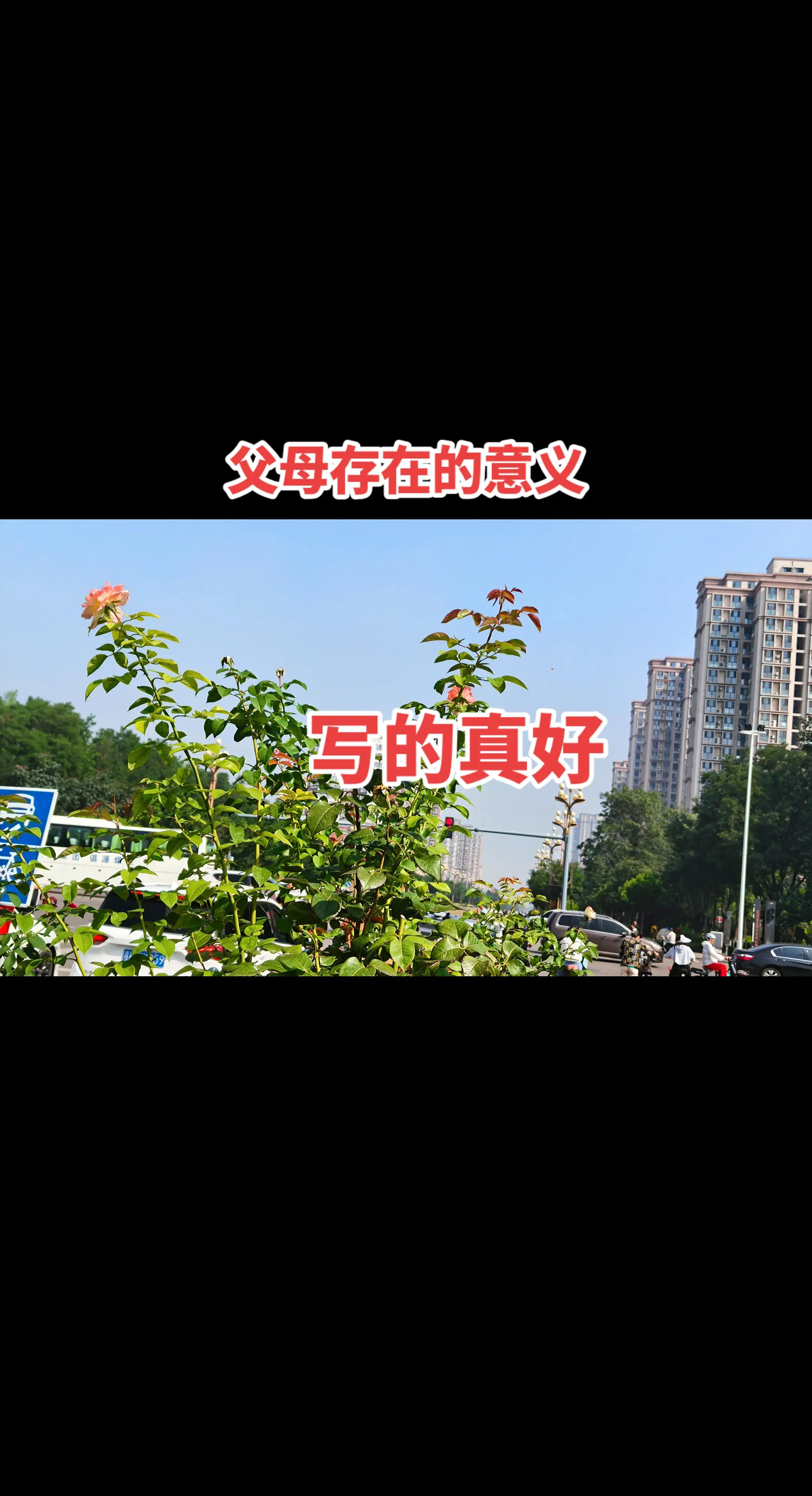 父母存在的意义是什么?这6句话,字字戳心,道尽了世间最沉甸甸 - 抖音