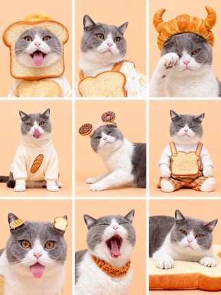 去年都卖的巨贵的磁石秋裤!今年商家想趁降温之前冲销量这个价居然到手整整的两条!赶紧薅!#秋裤 #男士保暖裤 #保暖裤 #贴身衣物 #男士秋裤