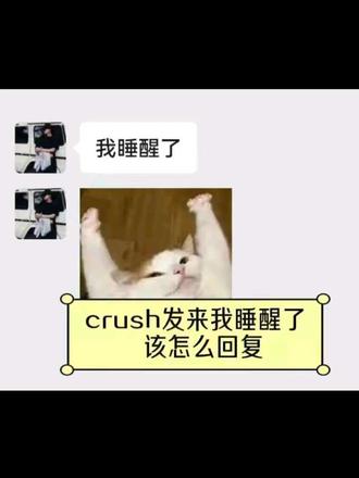 当你的crush发消息跟你说,睡醒了,如何暖他一整天?#高情商 #聊天记录 #怼人小能手 #怼人宝典 #人情世故